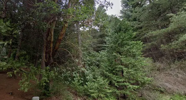 25890 Golf Links Drive, Pioneer, CA 95666