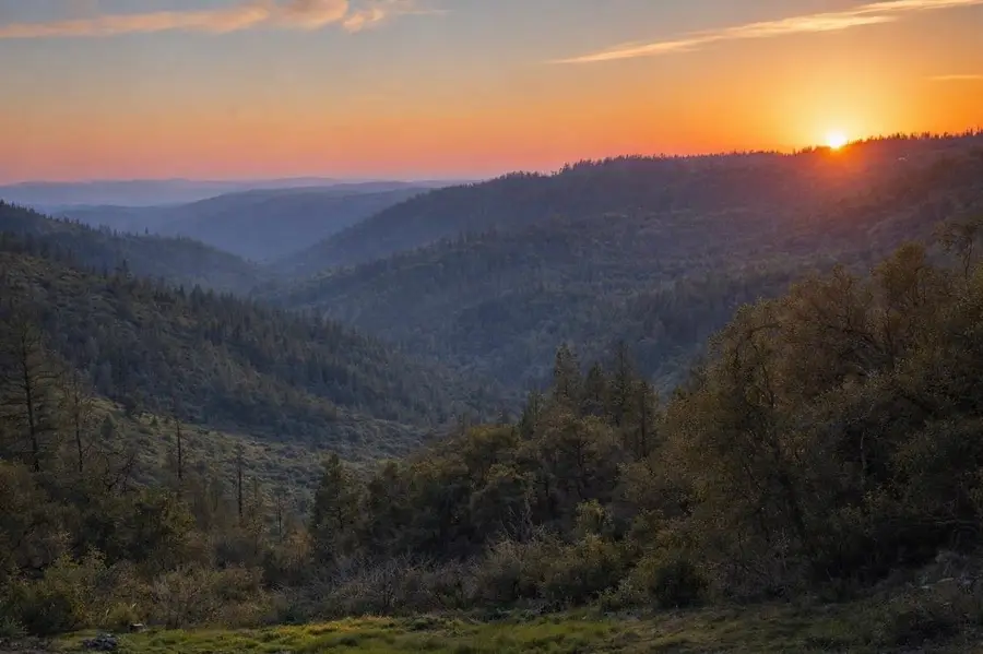 19751 Shirley Lane, Foresthill, CA 95631 - #3