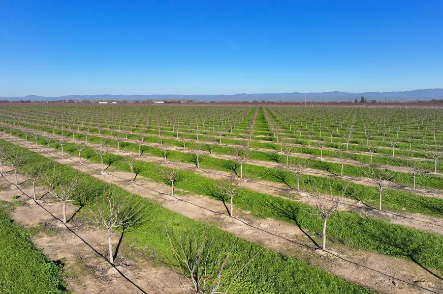 15743 N Allen Road, Snelling, CA 95369 - Image #3