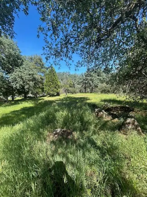 6821 Woodstock Lane, El Dorado, CA 95623 - #3