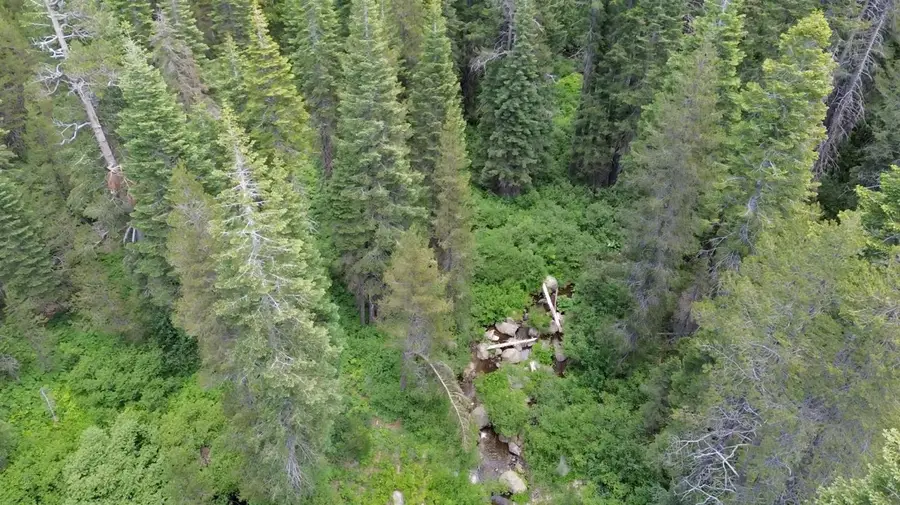 19231 Marsh Mill Road, Nevada City, CA 95959 - #2