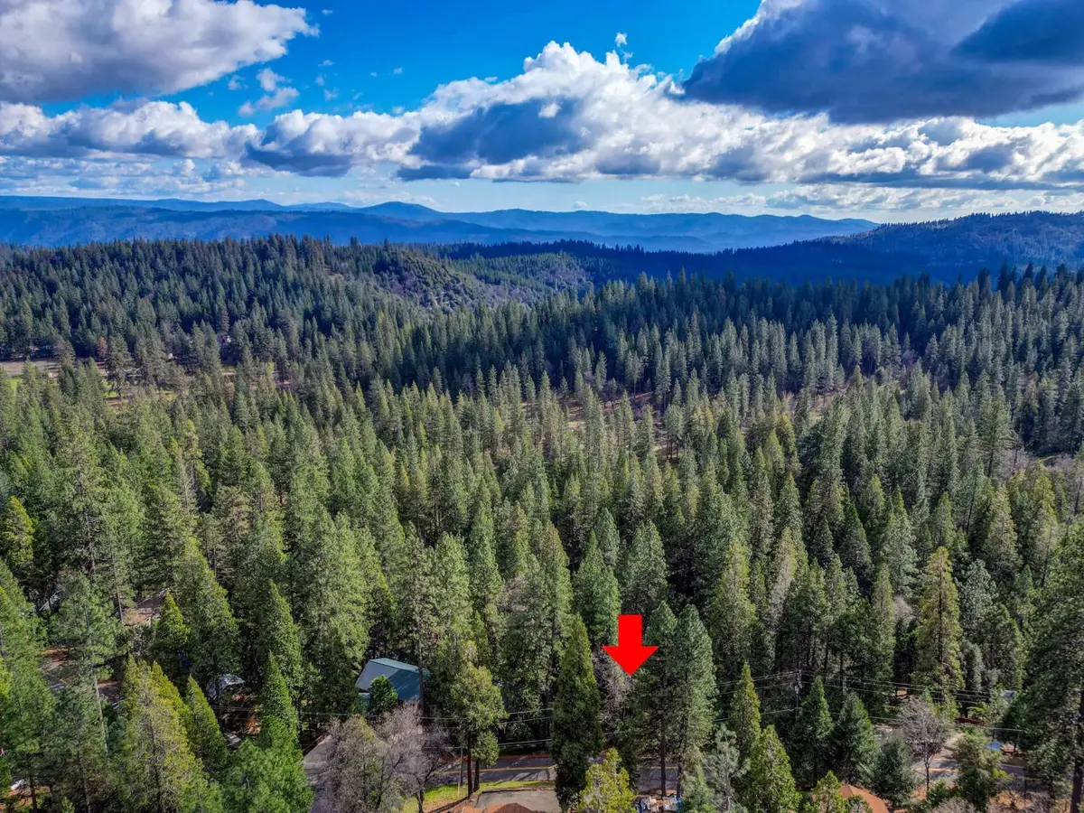 593 Avery Sheep Ranch Road, Avery, CA 95224 - #1