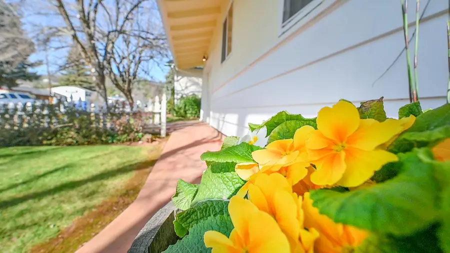 524 Williams St, Murphys, CA 95247 - Image #3