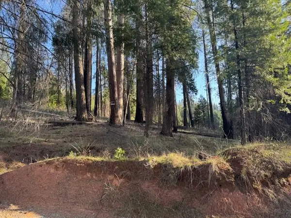 5026 Old Mine Road, Grizzly Flats, CA 95636