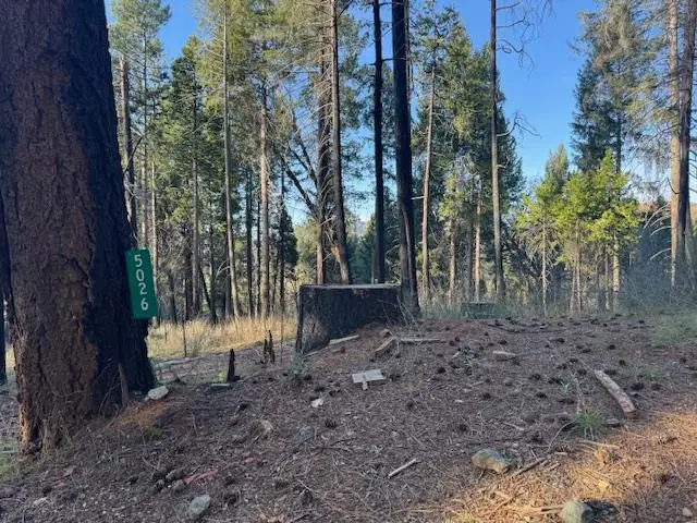 5026 Old Mine Road, Grizzly Flats, CA 95636 - #2
