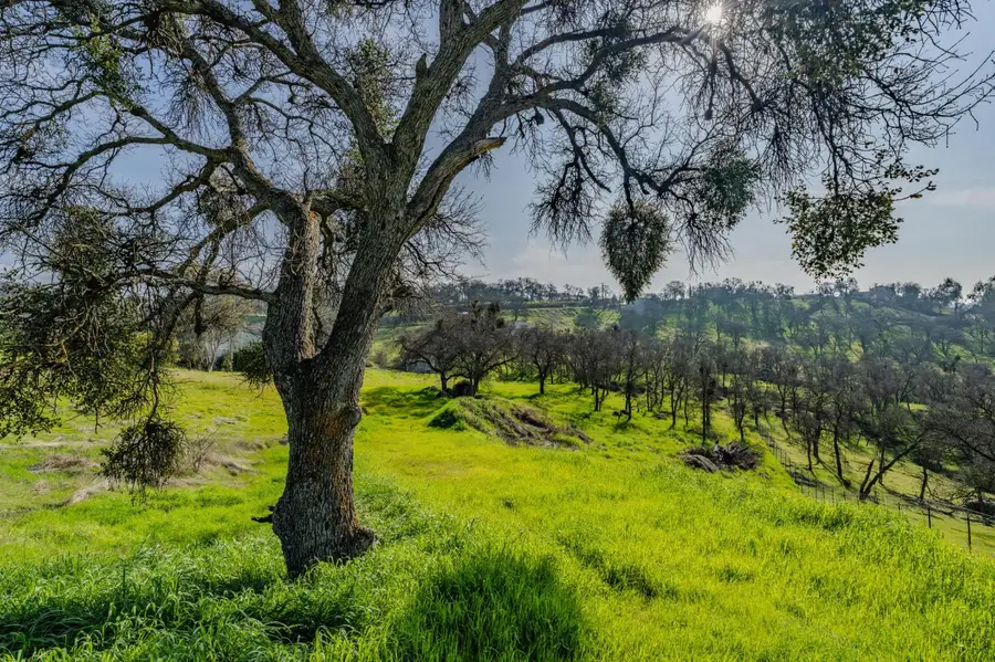 3623 Hanley Drive, Valley Springs, CA 95252 - Image #3