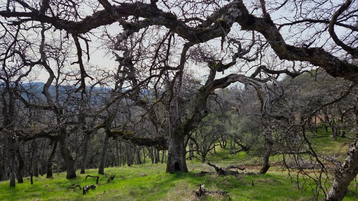 0 Palace Lane, Placerville, CA 95667 - #1