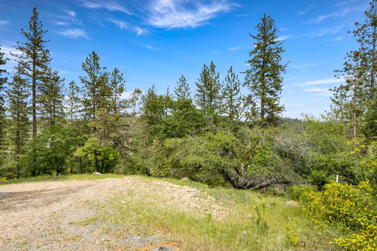 329 Cuckoo Court, Applegate, CA 95703 - #1
