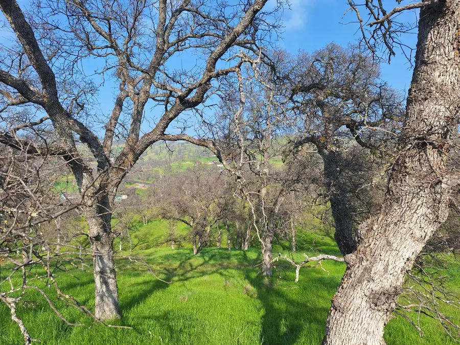 9000 Capullo Circle, La Grange, CA 95329 - #3