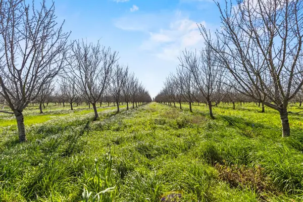 0 Sanders Road, Live Oak, CA 95953