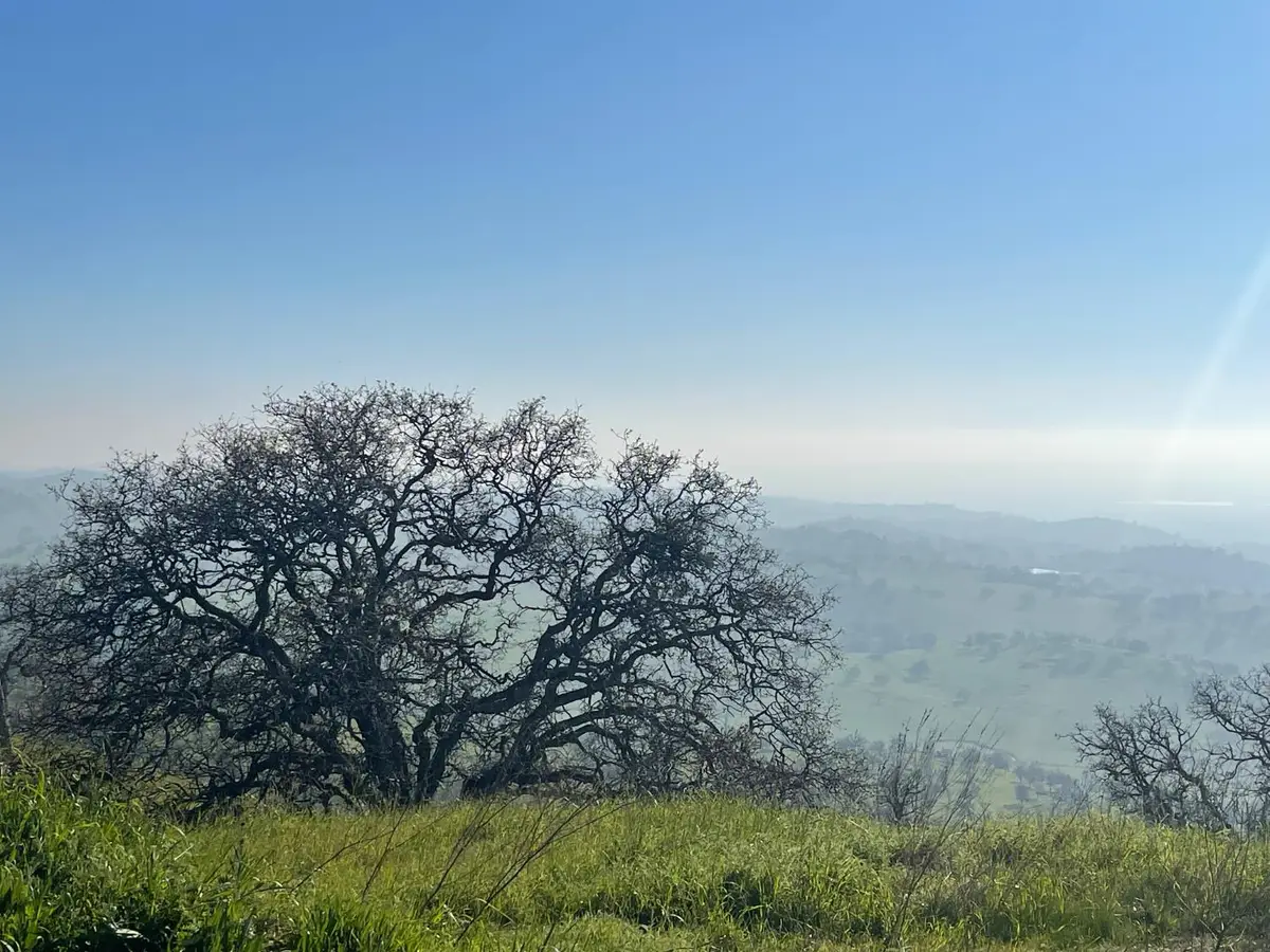 9349 Lazo Way, La Grange, CA 95329 - #1