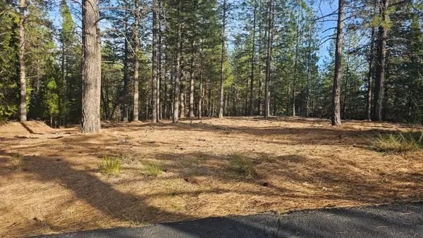 2801 Harkness Street, Georgetown, CA 95634