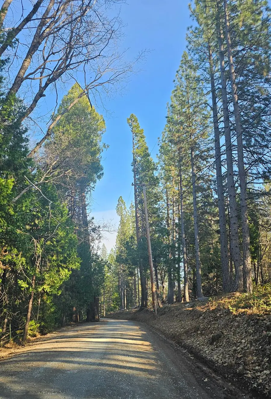 2801 Harkness Street, Georgetown, CA 95634 - Image #2