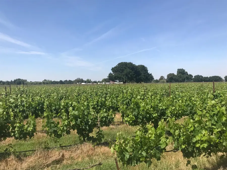 0 Kost Road, Galt, CA 95632 - #3