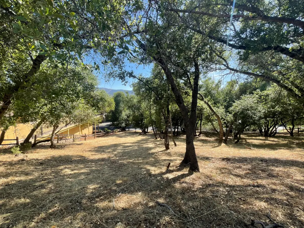 295 Mary Belle Way, Angels Camp, CA 95222 - #1