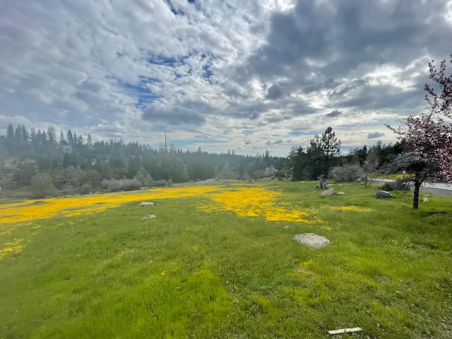 386 Buckthorn Drive, Murphys, CA 95247 - Image #2