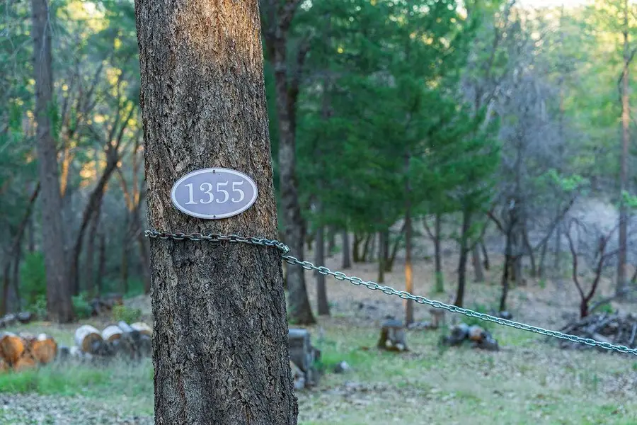 1355 E Weimar Cross Road, Colfax, CA 95713 - Image #2