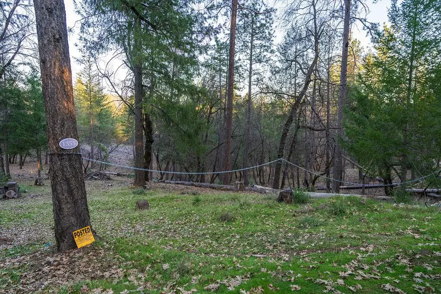 1355 E Weimar Cross Road, Colfax, CA 95713 - Image #3