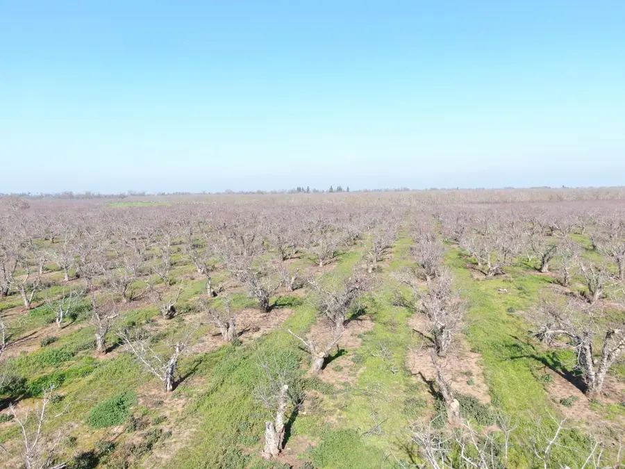 12255 E Eight Mile Road, Stockton, CA 95212 - #3