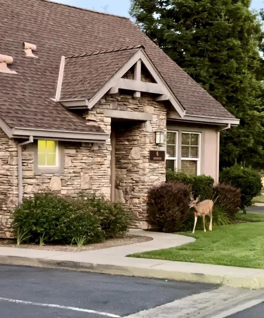 73 Quail Hollow Lane, Copperopolis, CA 95228 - #2