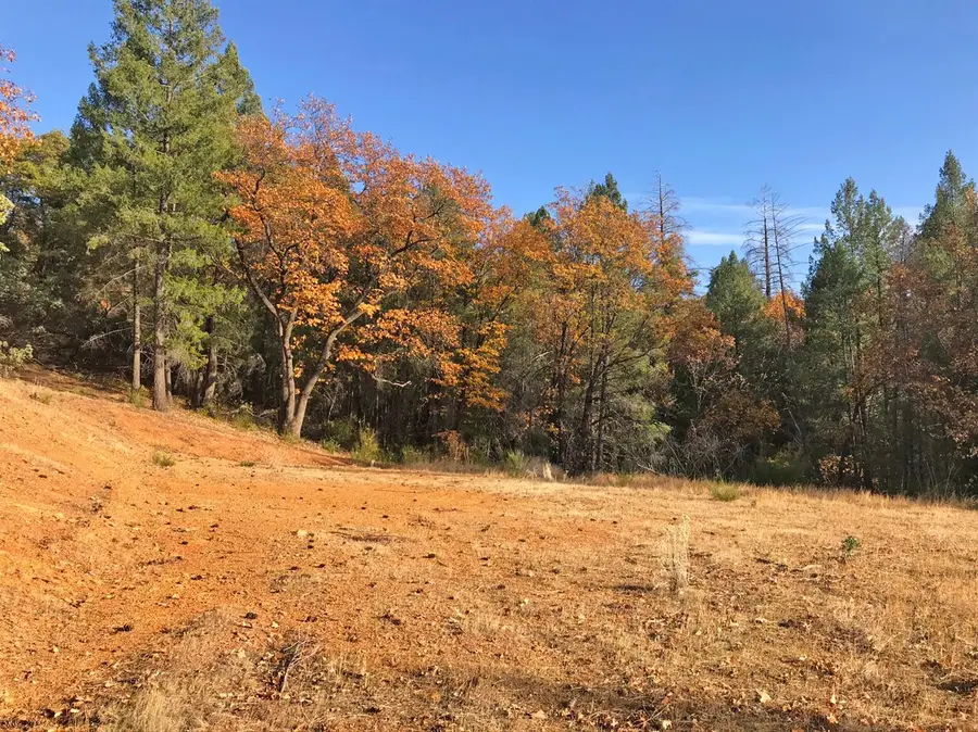 0 Holland Drive, Placerville, CA 95667 - #3