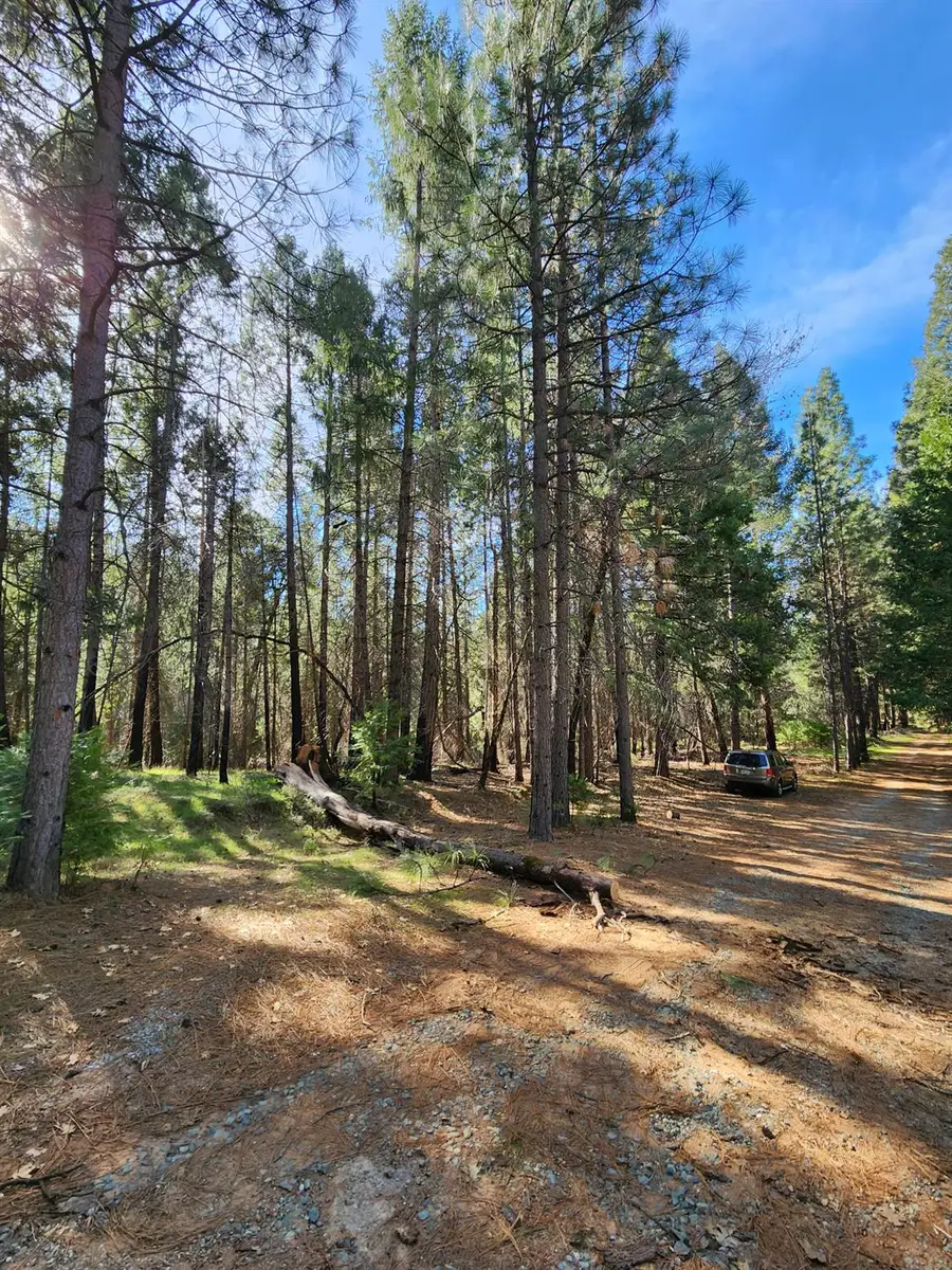 5303 Old Mine Road, Grizzly Flats, CA 95636 - #2