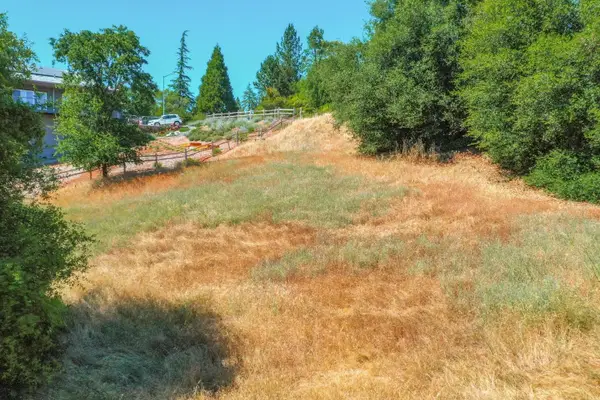 279 Wyldewood Drive, Murphys, CA 95247