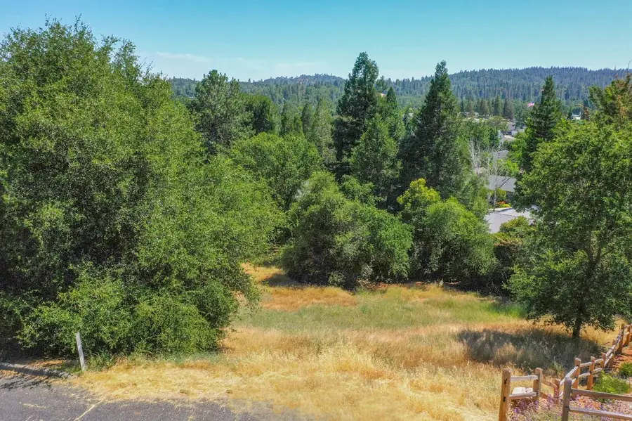 279 Wyldewood Drive, Murphys, CA 95247 - Image #2