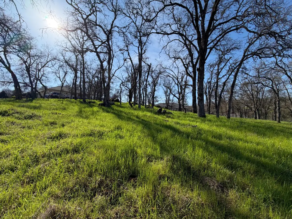 3192 Antonovich Road, Valley Springs, CA 95252 - Image #1