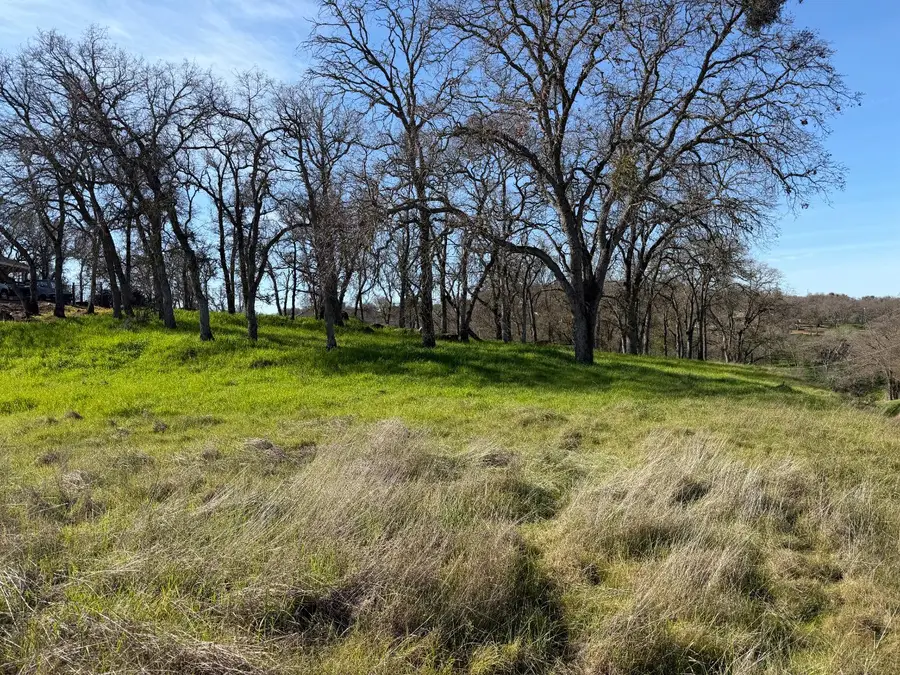 3192 Antonovich Road, Valley Springs, CA 95252 - Image #3