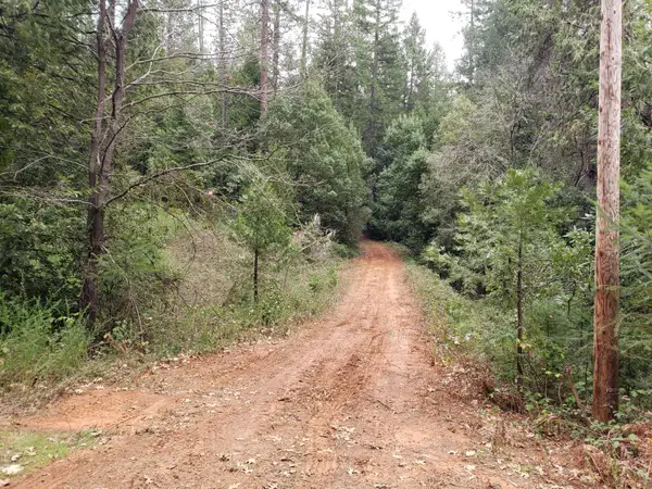 10012 La Porte, Challenge, CA 95925