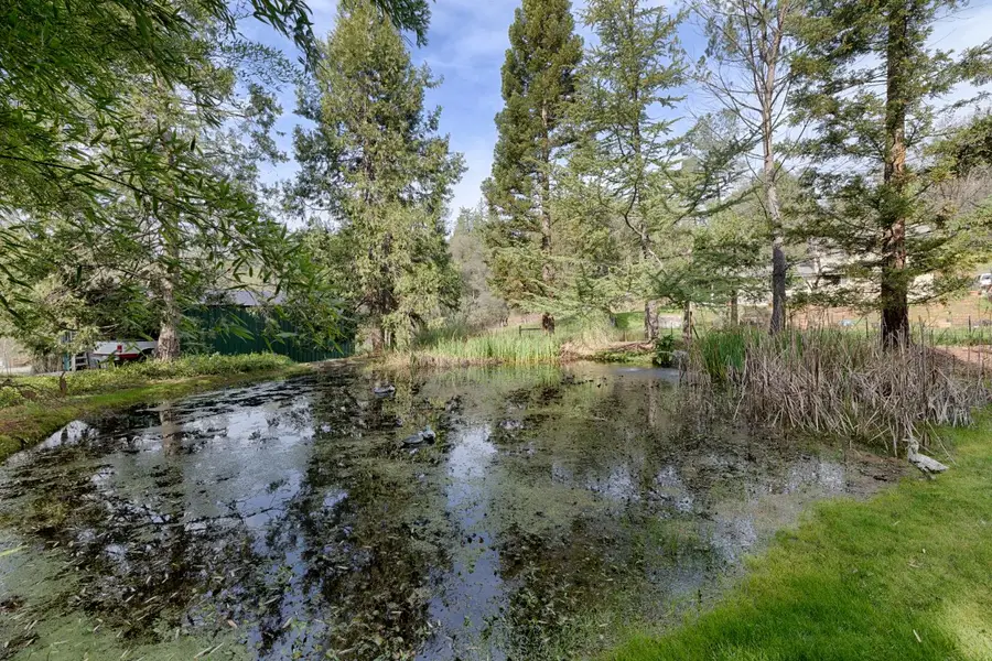 19520 Placer Hills Road, Colfax, CA 95713 - #3
