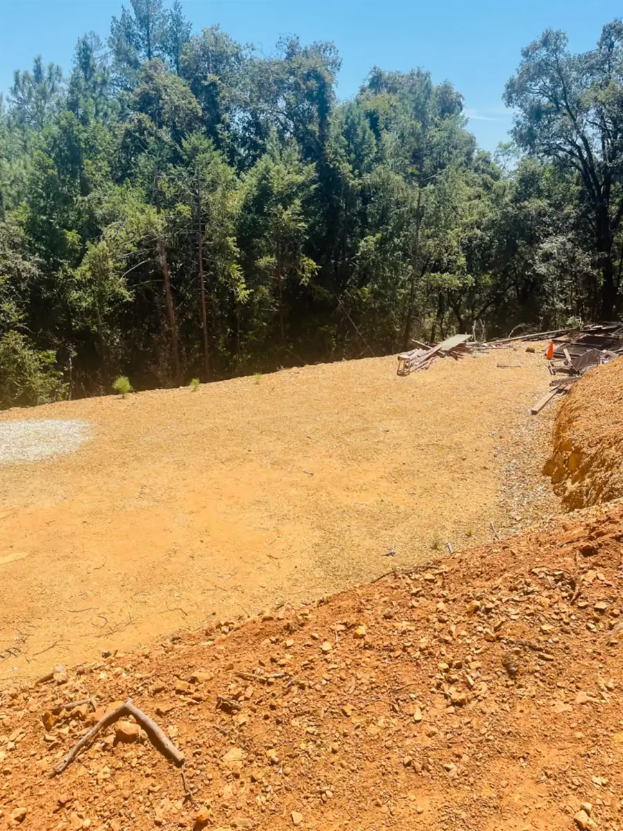 23025 Placer Hills Road, Colfax, CA 95713 - #2