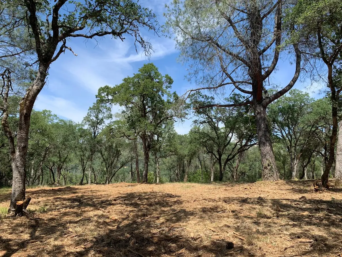 555 Jurgens Road, Rescue, CA 95672 - #1