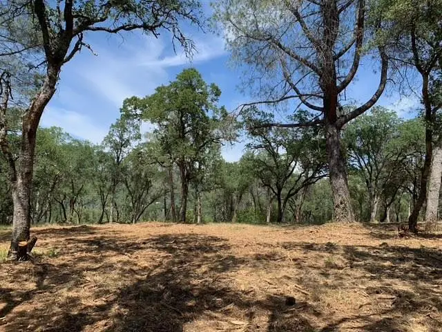 555 Jurgens Road, Rescue, CA 95672 - #2