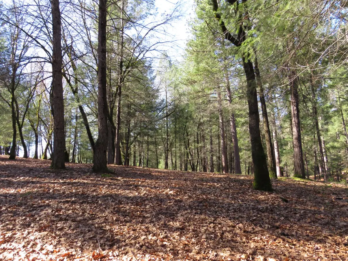 0 Forest Lake Place, Colfax, CA 95713 - #1