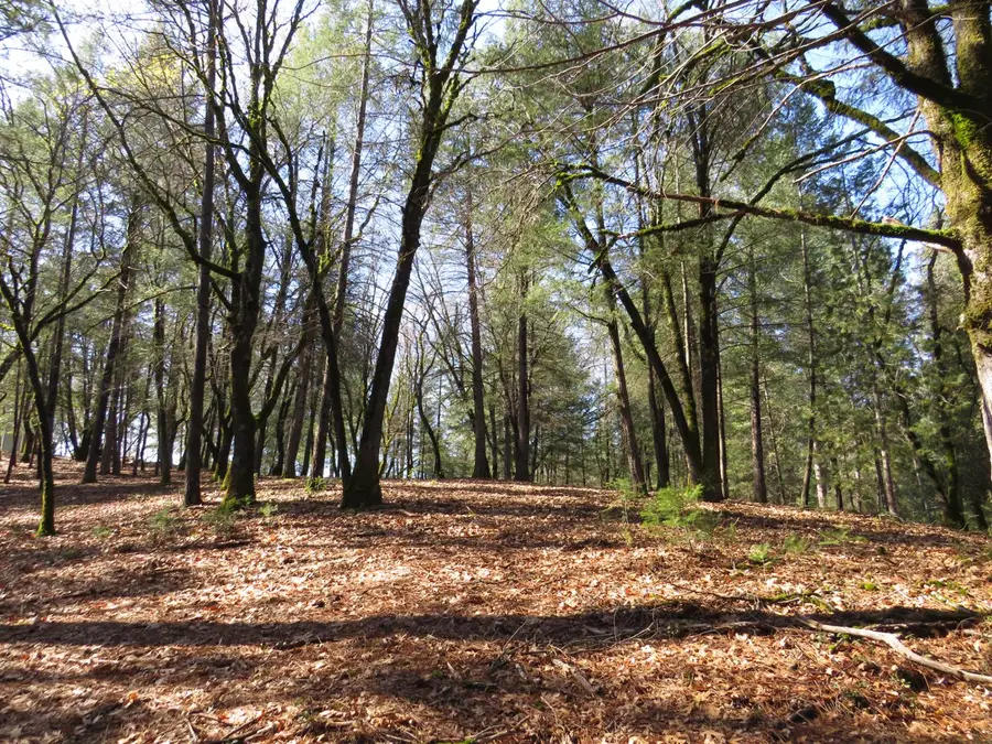 0 Forest Lake Place, Colfax, CA 95713 - #2
