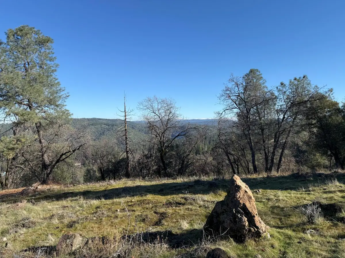 0 Snowberry Court, Murphys, CA 95247 - #1