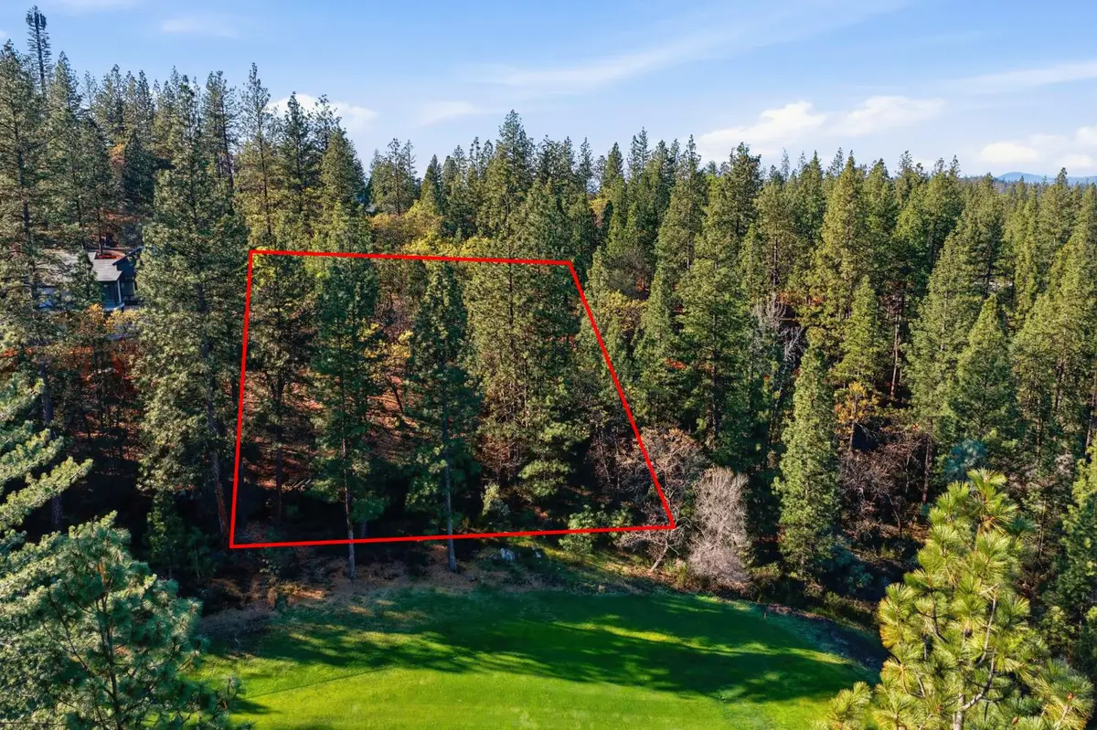 1642 The Point Road Lot 297, Meadow Vista, CA 95722 - #1