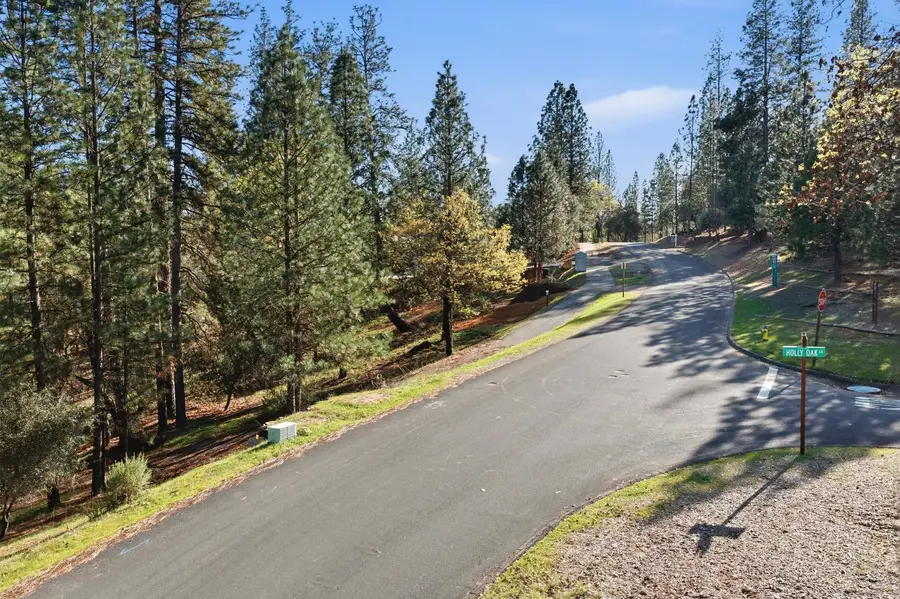 1642 The Point Road Lot 297, Meadow Vista, CA 95722 - #2