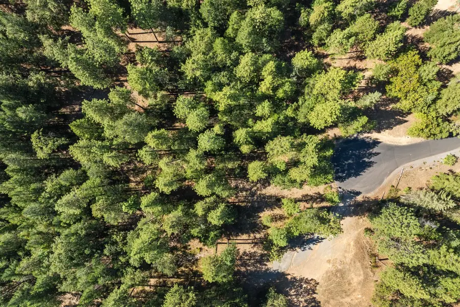 22090 Alton Trail, Foresthill, CA 95631 - #3