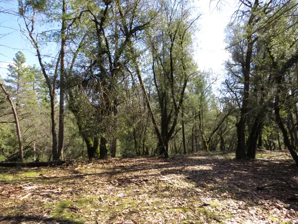 0 Forest Lake Place, Colfax, CA 95713