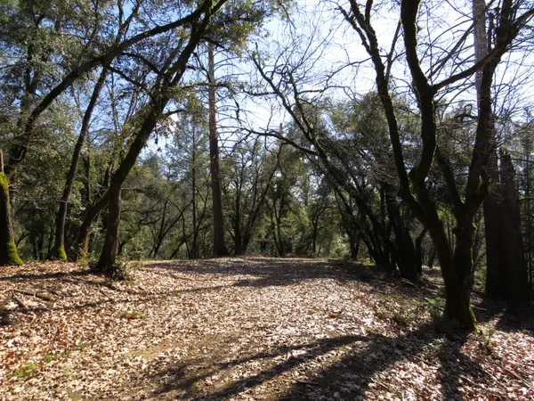 0 Forest Lake Place, Colfax, CA 95713