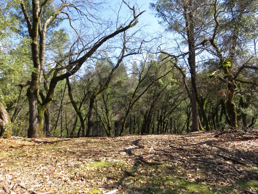 0 Forest Lake Place, Colfax, CA 95713 - #3