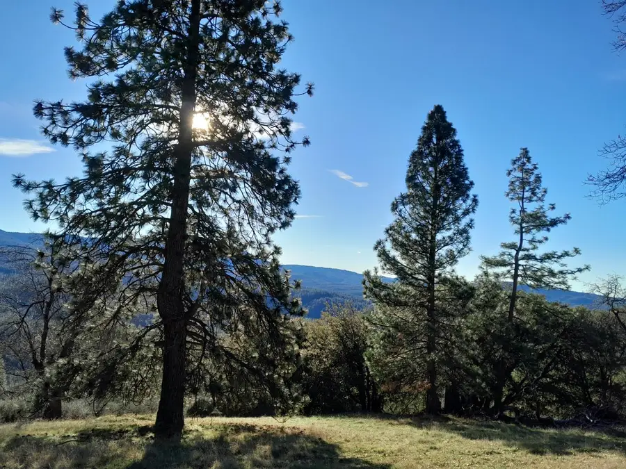 1975 Ridgecrest Way, West Point, CA 95255 - #3