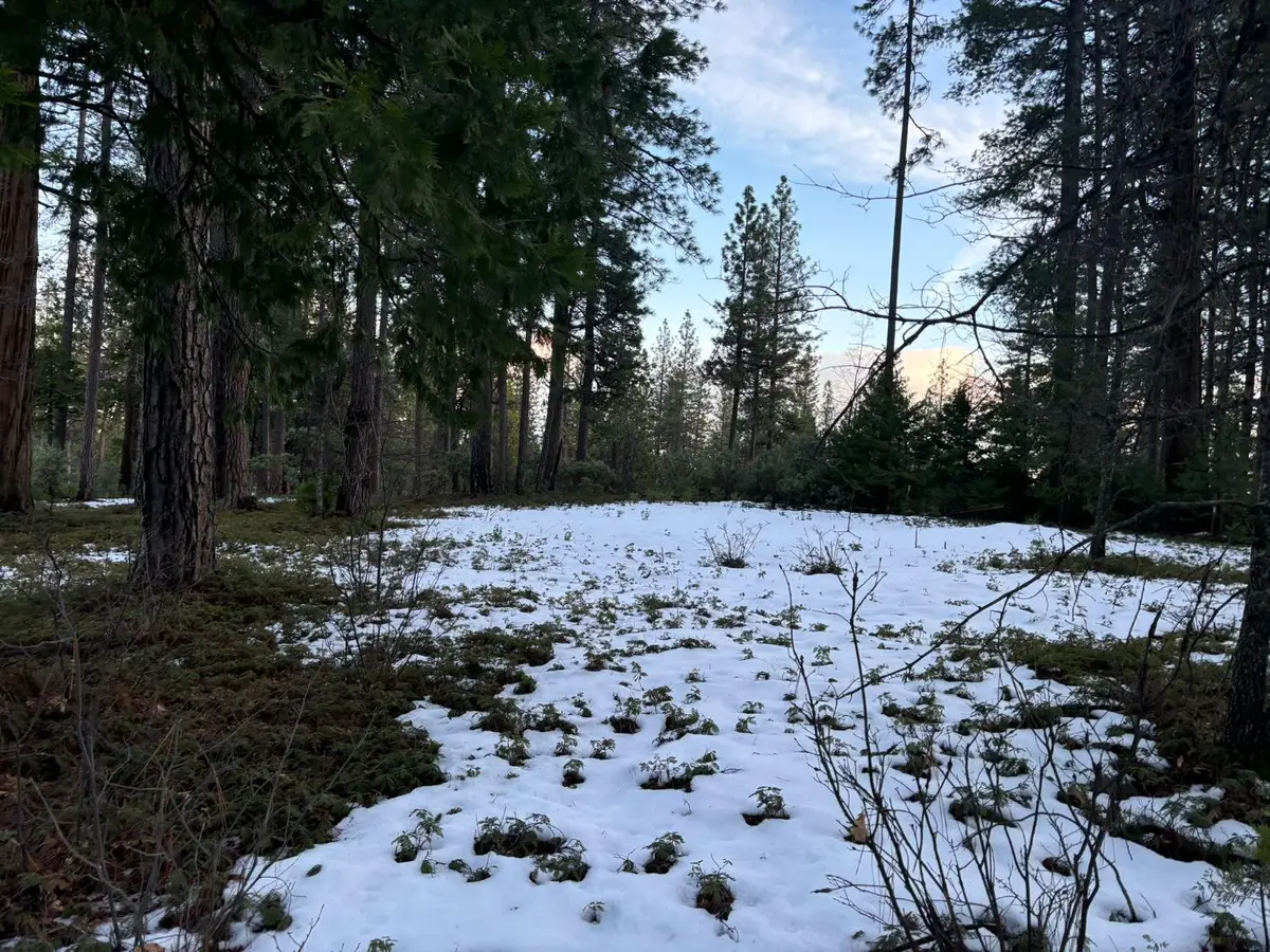 164 Vireo Court, Avery, CA 95224 - #1