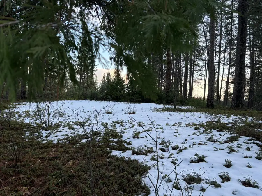 164 Vireo Court, Avery, CA 95224 - #3