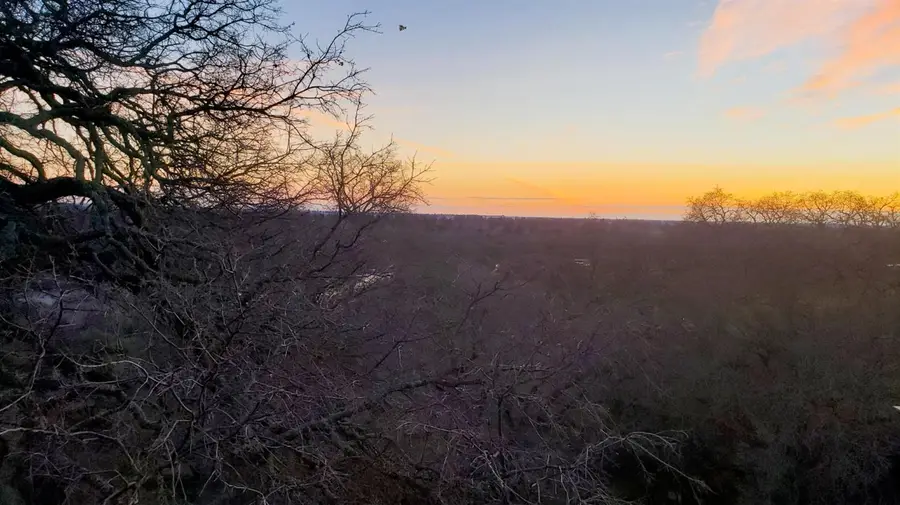 8764 Bluff Lane, Fair Oaks, CA 95628 - #3