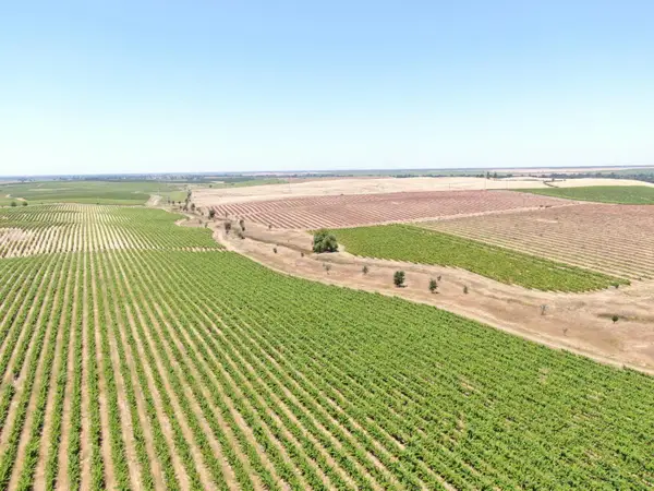 30222 N Mackville Road, Acampo, CA 95220