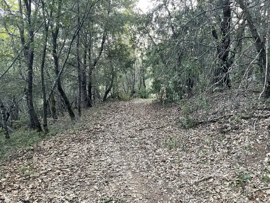 0 Defender Grade, Pioneer, CA 95666 - #2